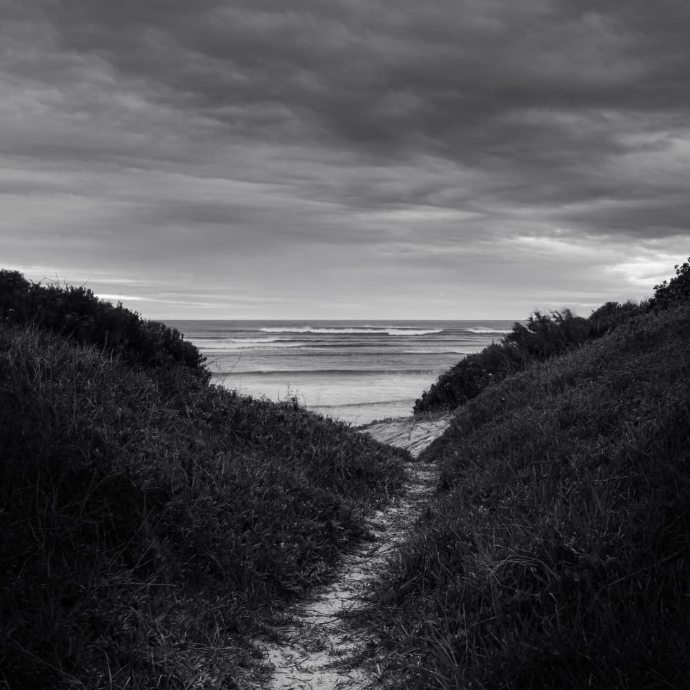 Moody Beach Path by Ray Truter — canvas wall art
