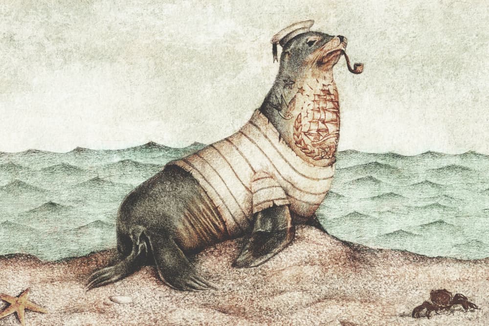 Keep an Eye On the Coast