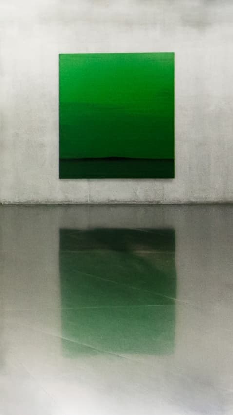 Deep Green Reflection by Toni Guerra — canvas wall art