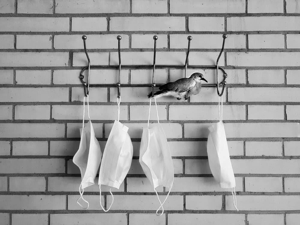 Perching Bird Masks by Mohammad Fotouhi — canvas wall art