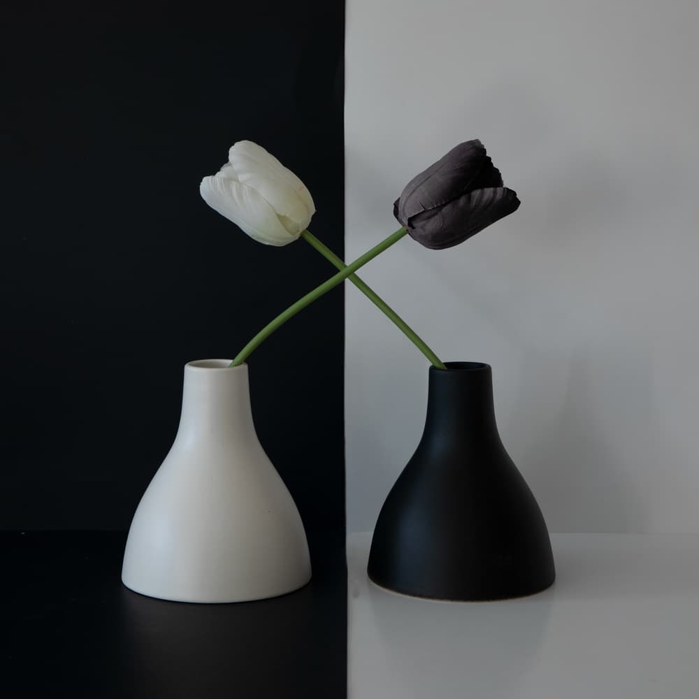 Black White Tulip Balance by Wendy Xu — canvas wall art