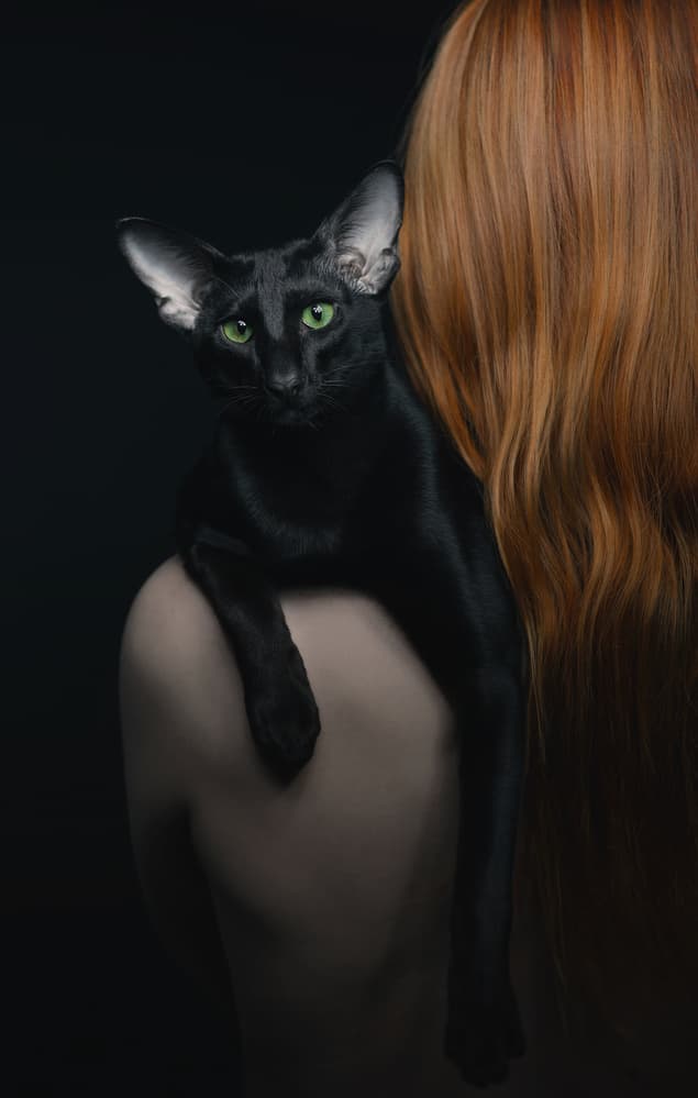 Black Cat Green Eyes by Roland Helerand — canvas wall art