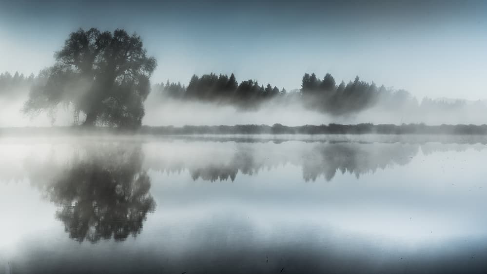 Misty Morning Reflection by Ulrike Eisenmann — canvas wall art