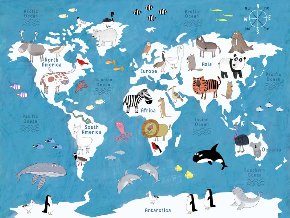 World Animal Map by Carla Daly — canvas wall art