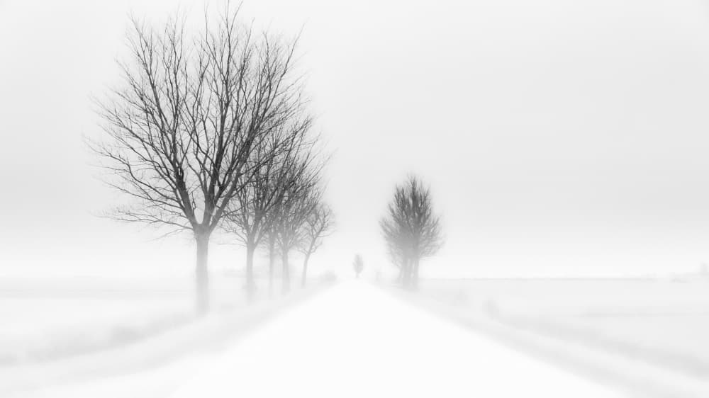 Misty Winter Road by Jacob Tuinenga — canvas wall art