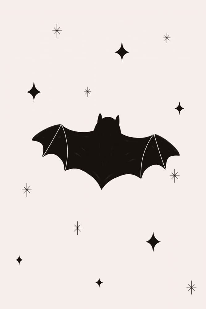 Spooky Bat Stars by Menina Lisboa — canvas wall art