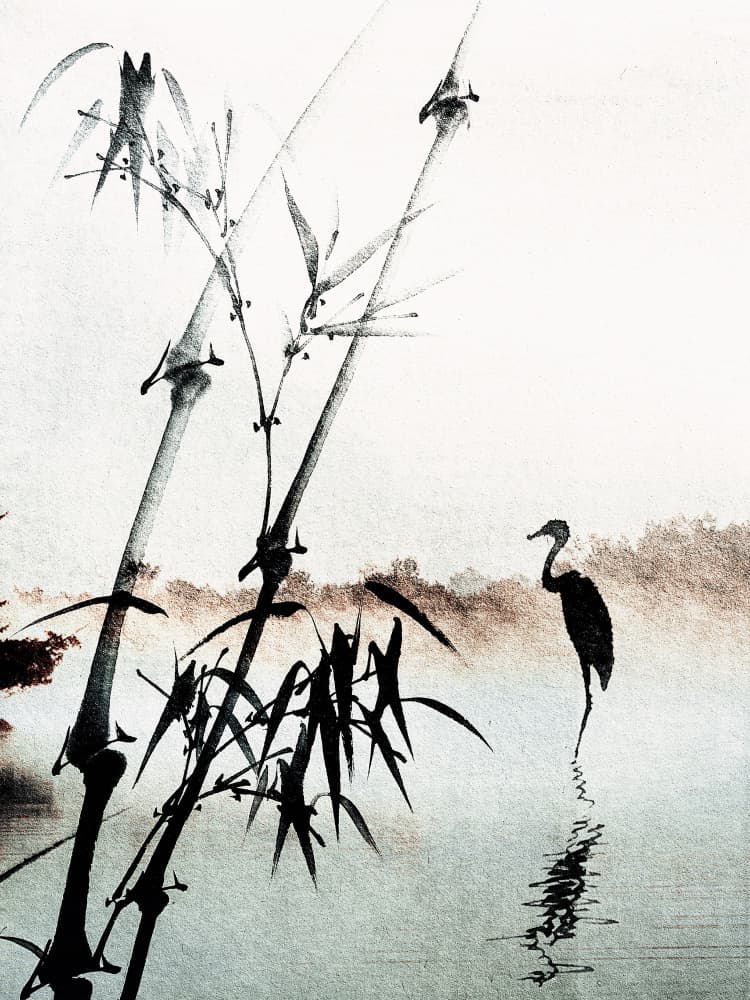 Tranquil Reflections by Treechild — canvas wall art