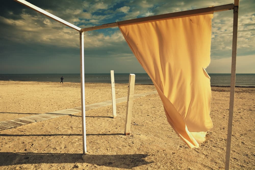 Windswept Beach Curtain by Emilian Avramescu — canvas wall art