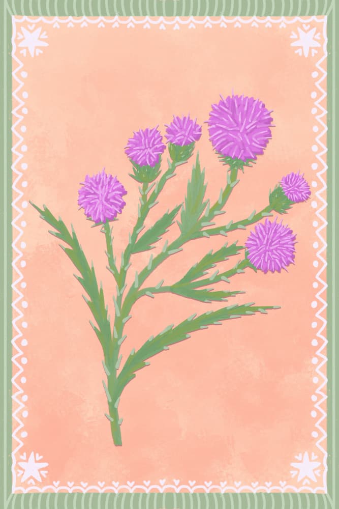 Wild Thistle Blossoms by Aliya Putrus — canvas wall art