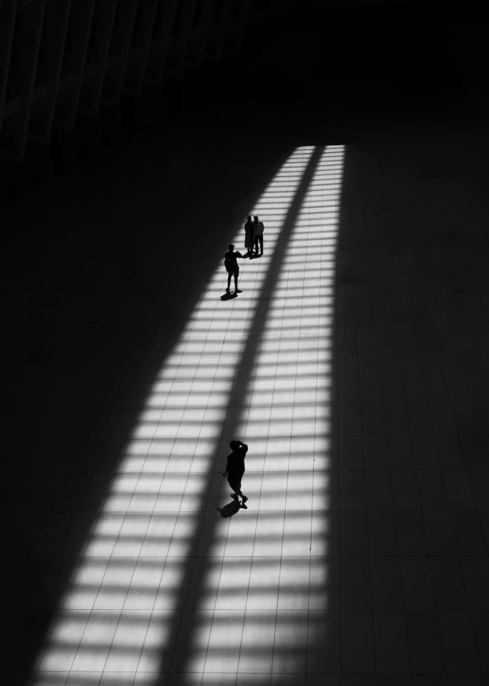 Silhouettes in Sunlight by Cicy Chen — canvas wall art