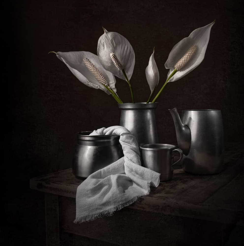 Elegant Peace Lilies by Margareth Perfoncio — canvas wall art