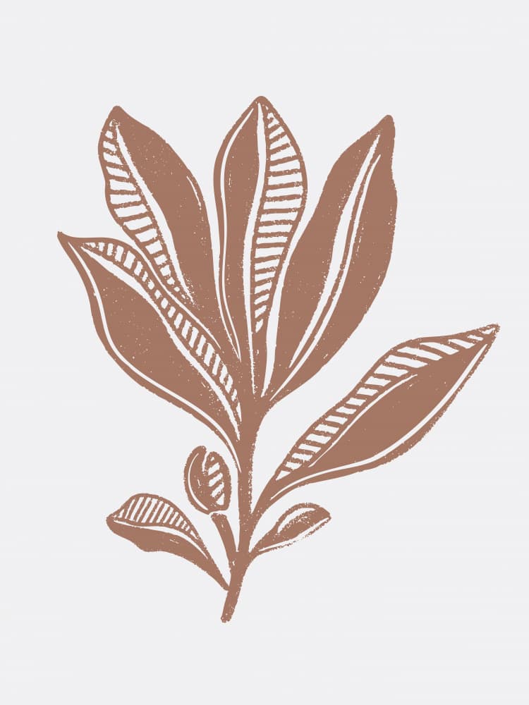 Organic Botanical Sketch by Nikita Jariwala — canvas wall art