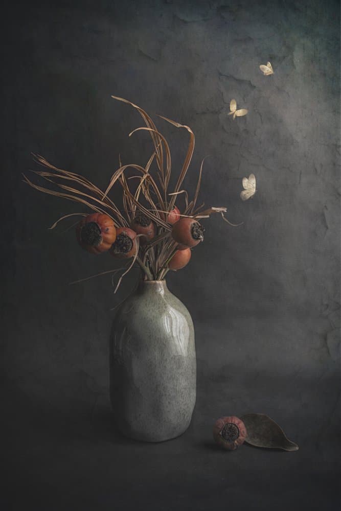 Dark Still Life Butterflies by Cicek Kiral — canvas wall art