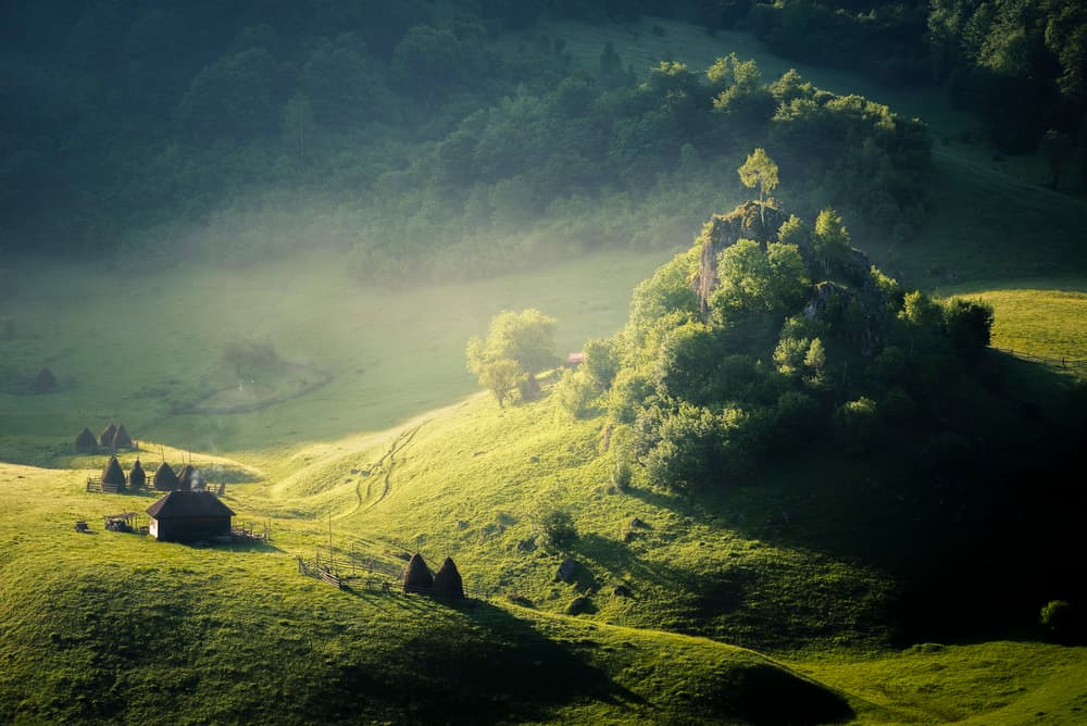 Misty Green Valley by Andrei Ionut Dascalu — canvas wall art
