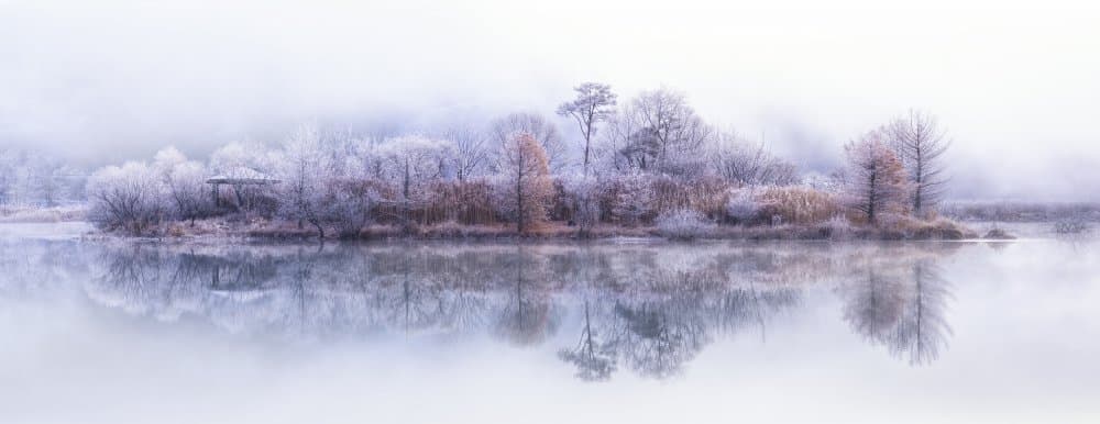 Misty Winter Lake Reflection by Tiger Seo — canvas wall art