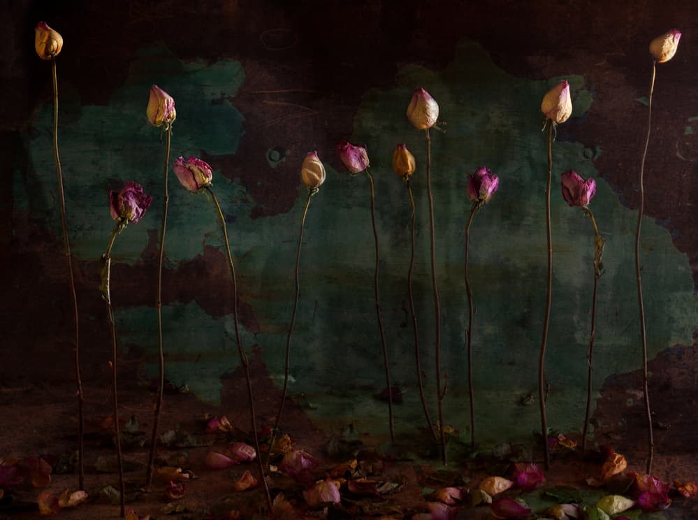 Moody Dried Roses by Golubeva Nataly — canvas wall art