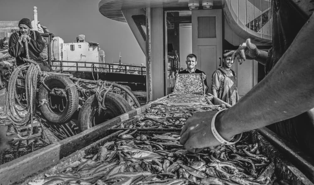 Busy Fish Market by Hesham Ragab — canvas wall art