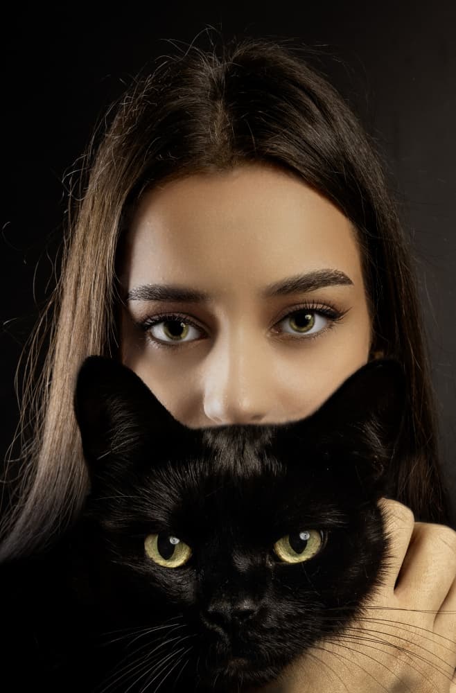 Piercing Green Eyes Black Cat by Ovi D. Pop — canvas wall art