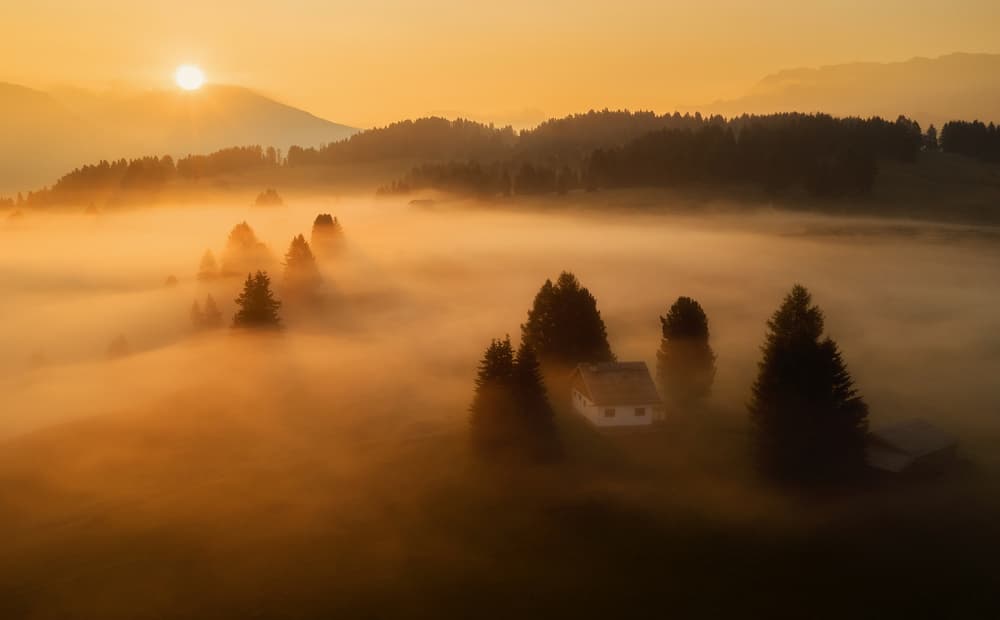 Golden Misty Morning by Ales Krivec — canvas wall art