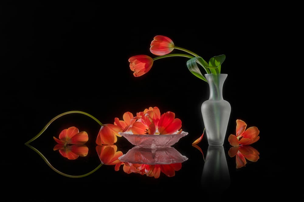 Vibrant Tulips Still Life by Lydia Jacobs — canvas wall art