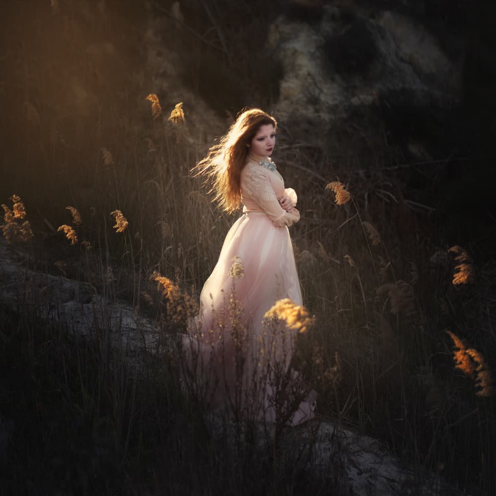Ethereal Golden Light by Paulo Dias — canvas wall art