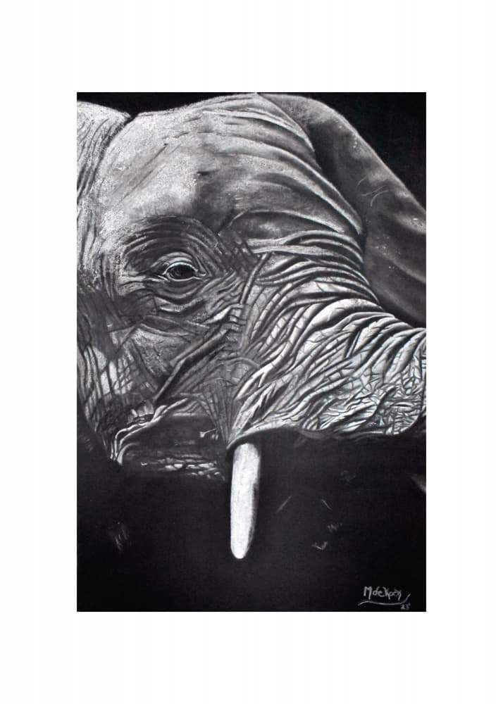 Majestic Elephant Portrait by Marchelle de Kock — canvas wall art