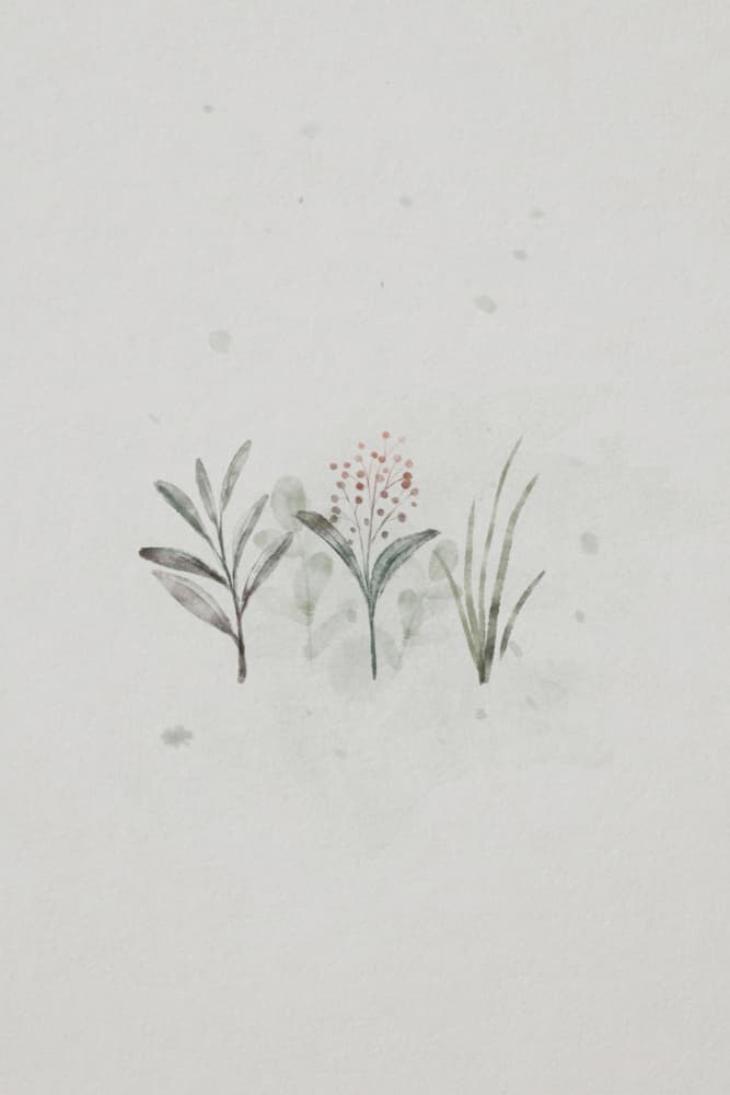 Soft Green Botanicals by Xuan Thai — canvas wall art