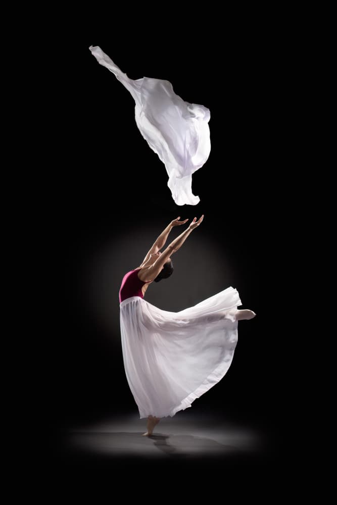 Ethereal Flowing Dance by Songlin Xu — canvas wall art