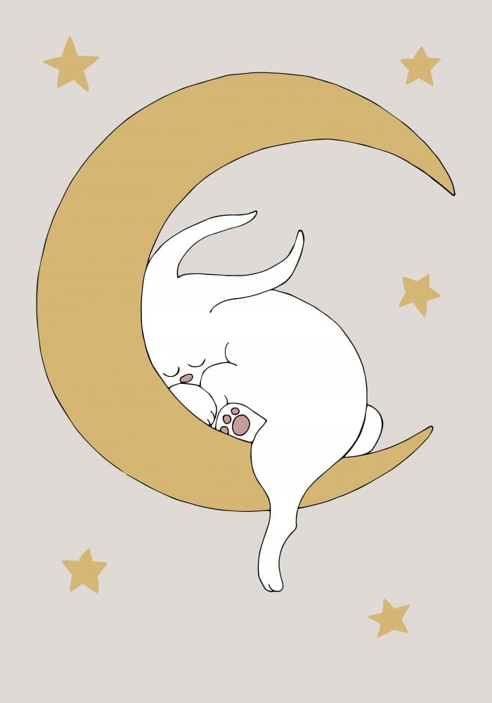 Sleeping Bunny on Moon by Pictufy Studio II — canvas wall art