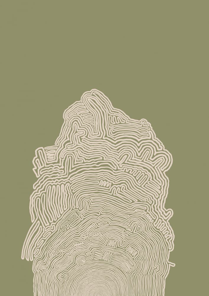 Sage Green Contours by Sharyn Bursic — canvas wall art