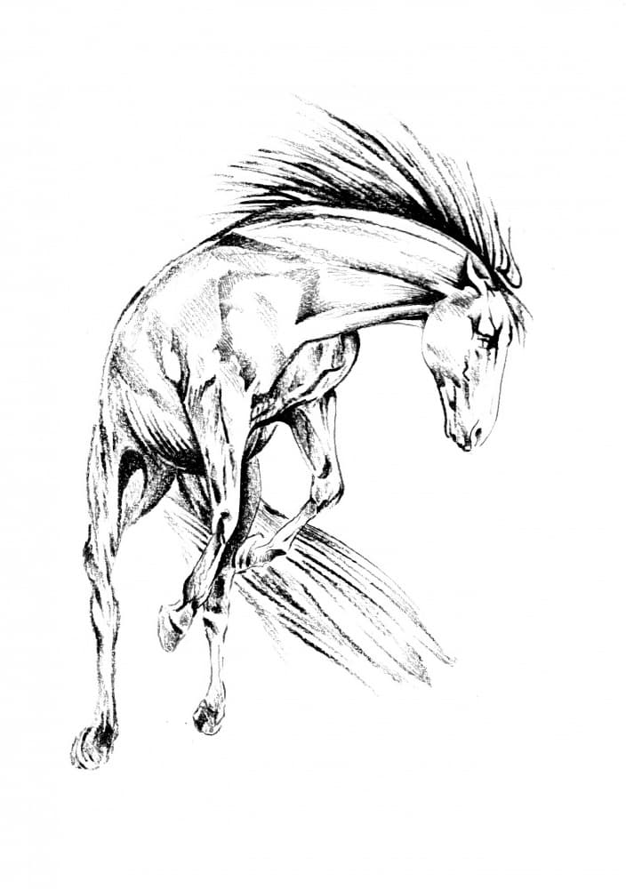 Dynamic Wild Horse by Kulik — canvas wall art