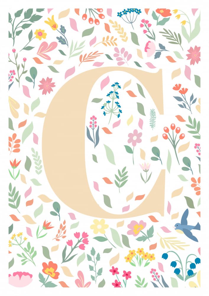 Floral Letter C by Sarah Manovski — canvas wall art