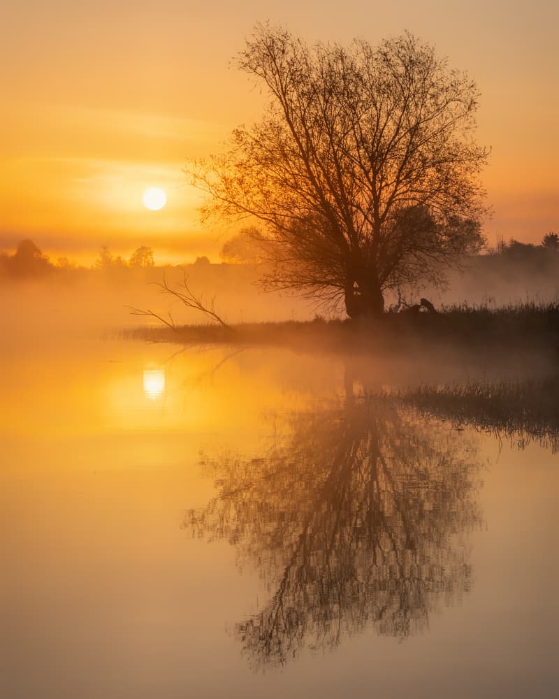 Golden Morning Reflection by Mariusz Guc — canvas wall art