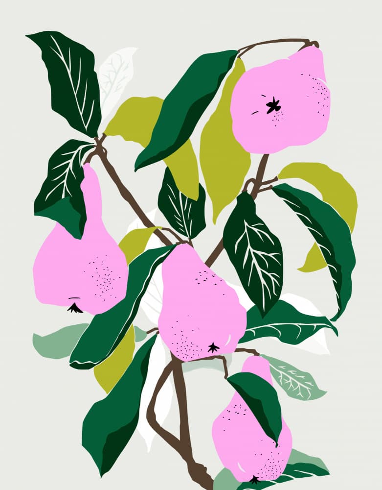 Modern Pink Pears by Annick — canvas wall art