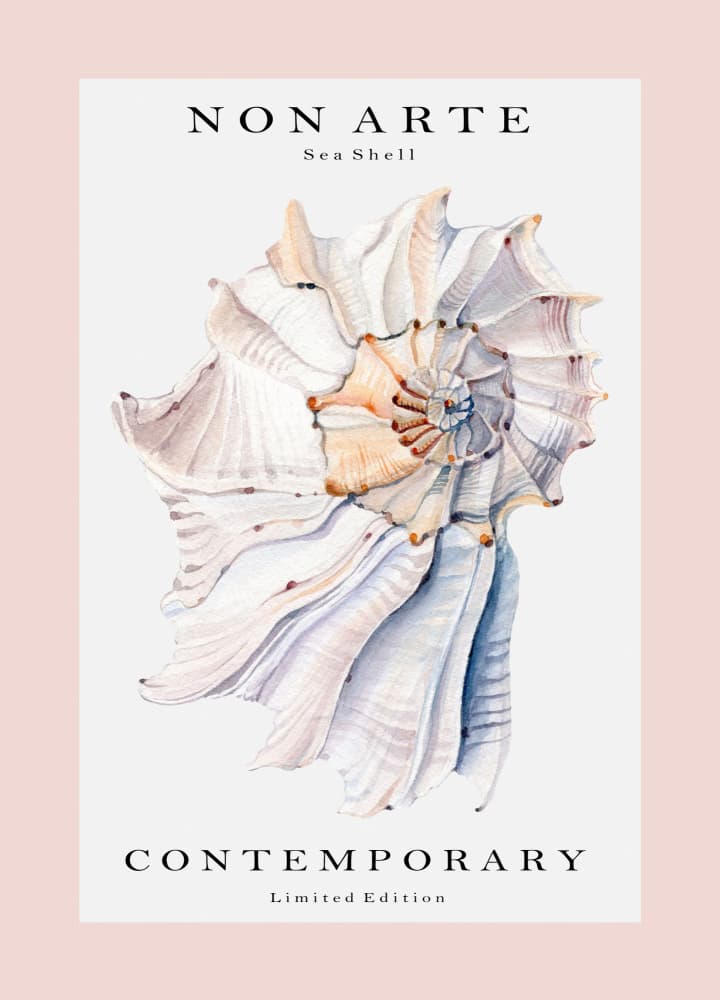 Contemporary Spiral Shell by Rikke Løndager Boisen — canvas wall art