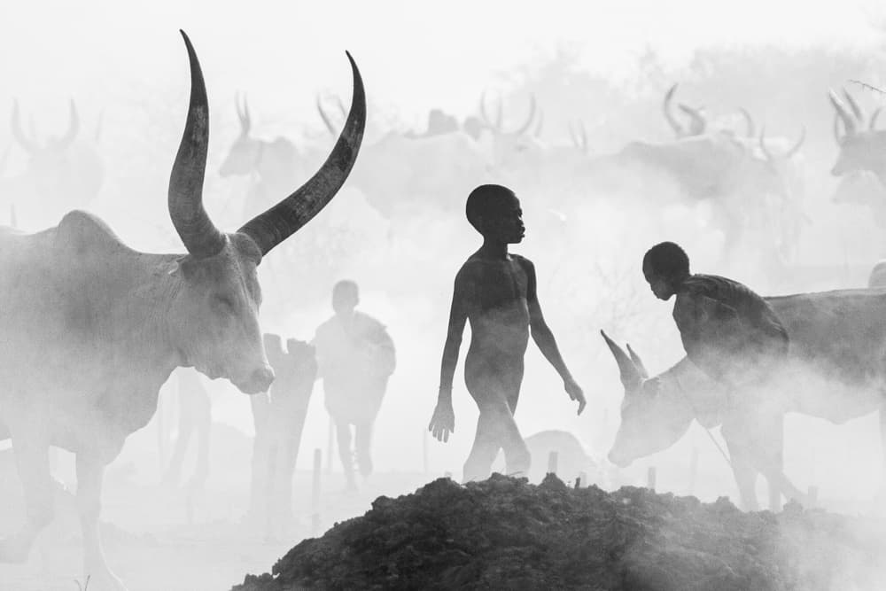 African Dust Journey by Svetlin Yosifov — canvas wall art
