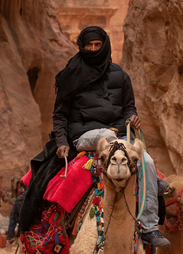 Petra Camel Rider by Guy Wilson — canvas wall art
