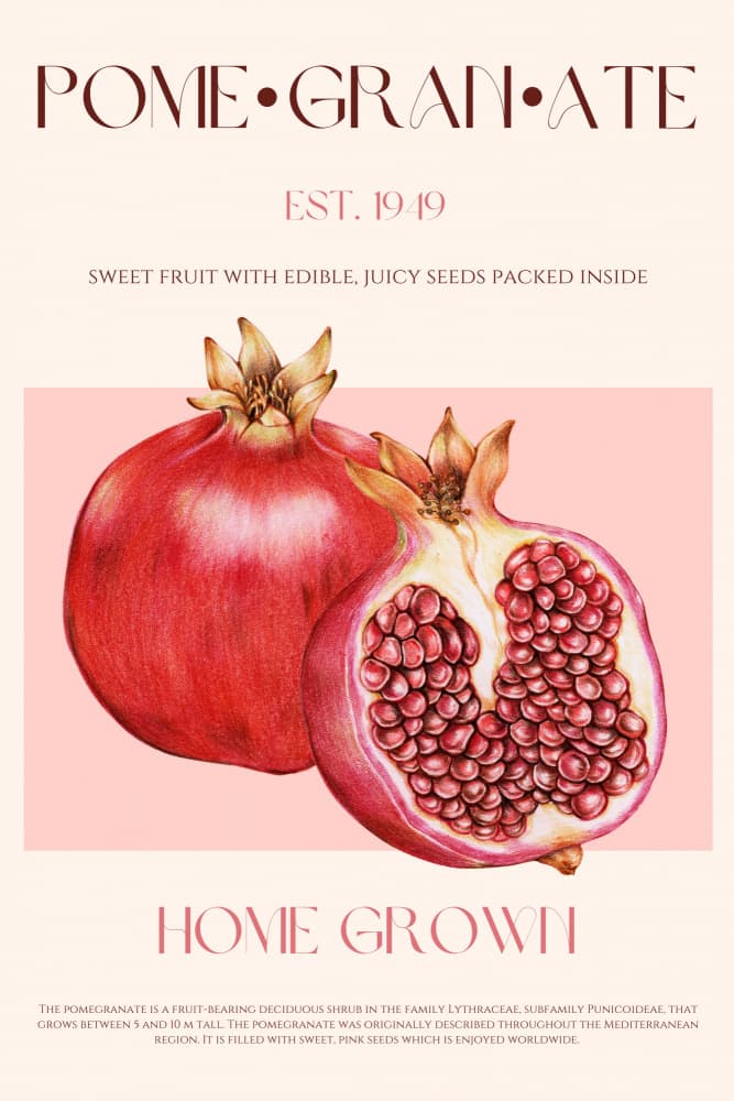 Ripe Red Pomegranates by Nazma Khokhar — canvas wall art