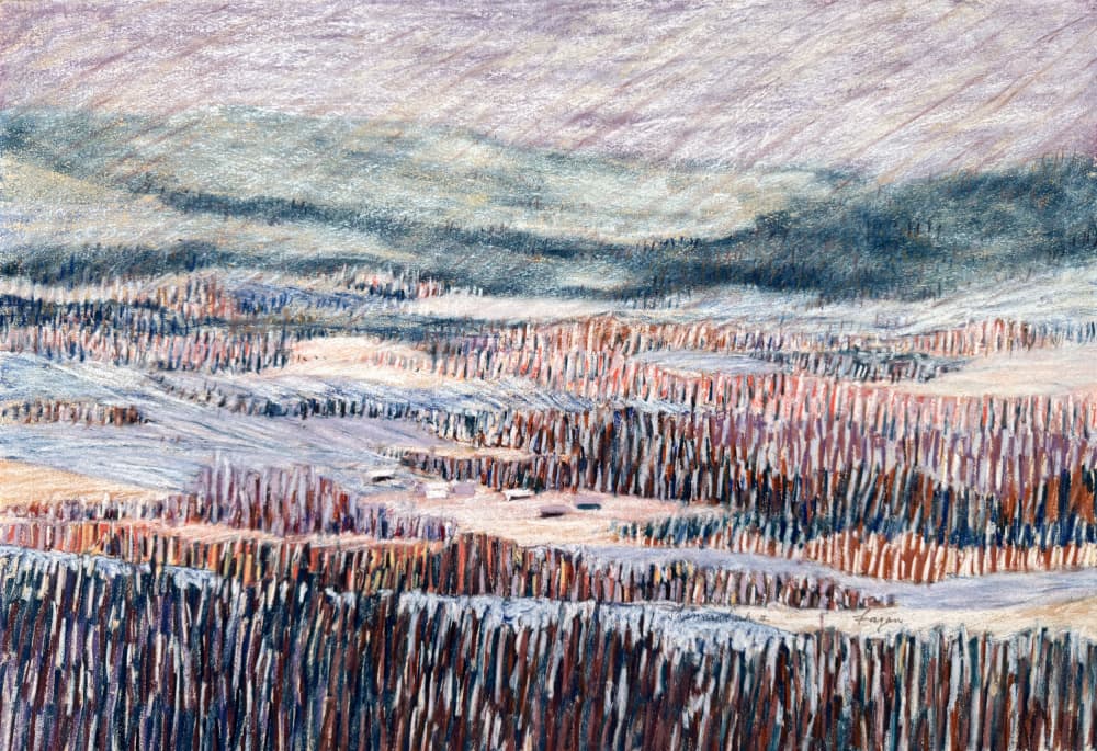 Winter landscape Tapestry by Dorothy Fagan — canvas wall art