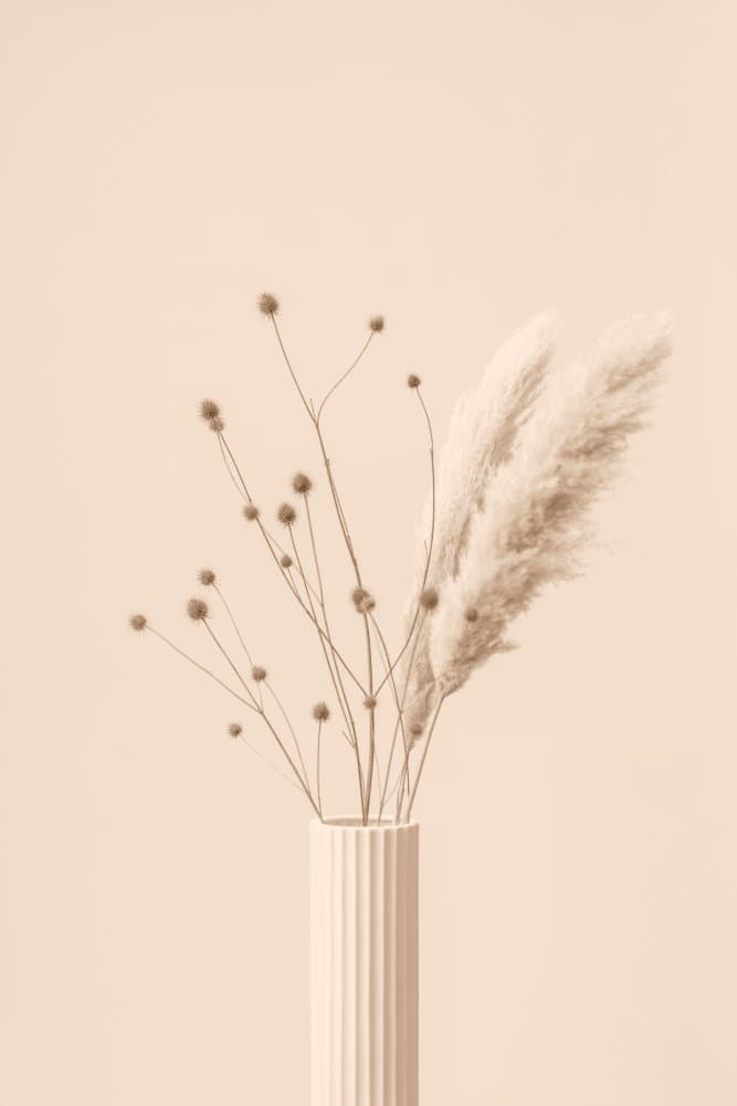 Soft Pampas Arrangement by Pictufy Studio III — canvas wall art