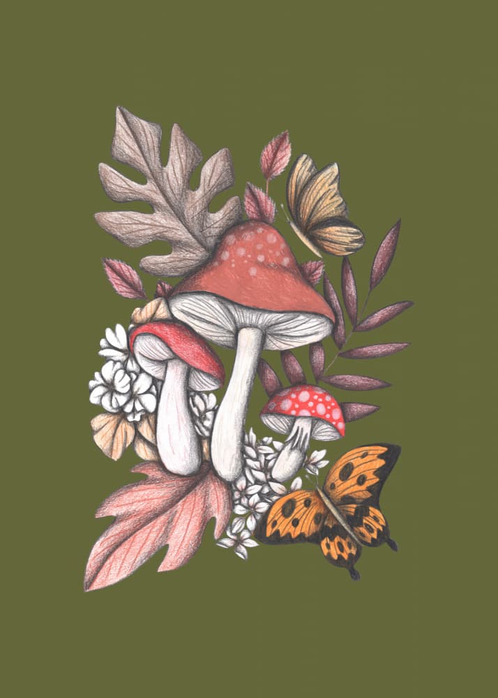 Mushrooms Magic#2 by Cecilia Battaini — canvas wall art