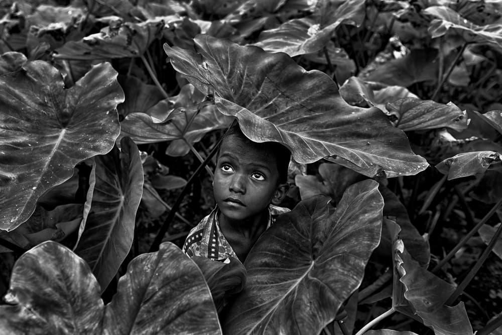 Curious Boy in Leaves by Avishek Das — canvas wall art