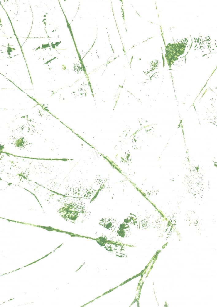 Abstract Green Lines by Maira Ribena — canvas wall art