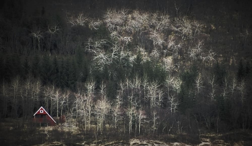 Tranquil Forest Cabin by Mette Caroline Strøksnes — canvas wall art