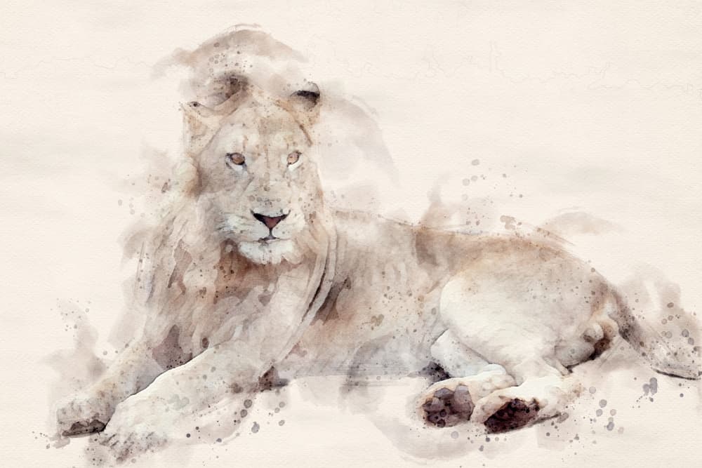 Majestic White Lion Watercolor by Arno Du Toit — canvas wall art
