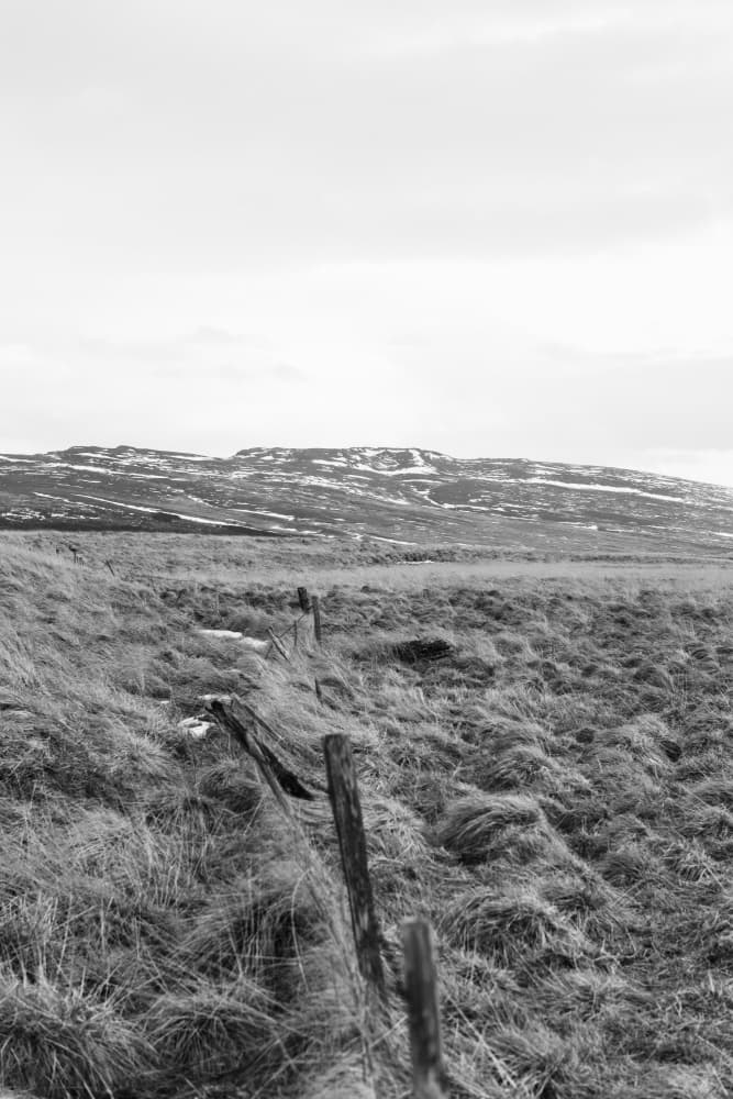 Rural Winter Fence by Lynann Colligan — canvas wall art