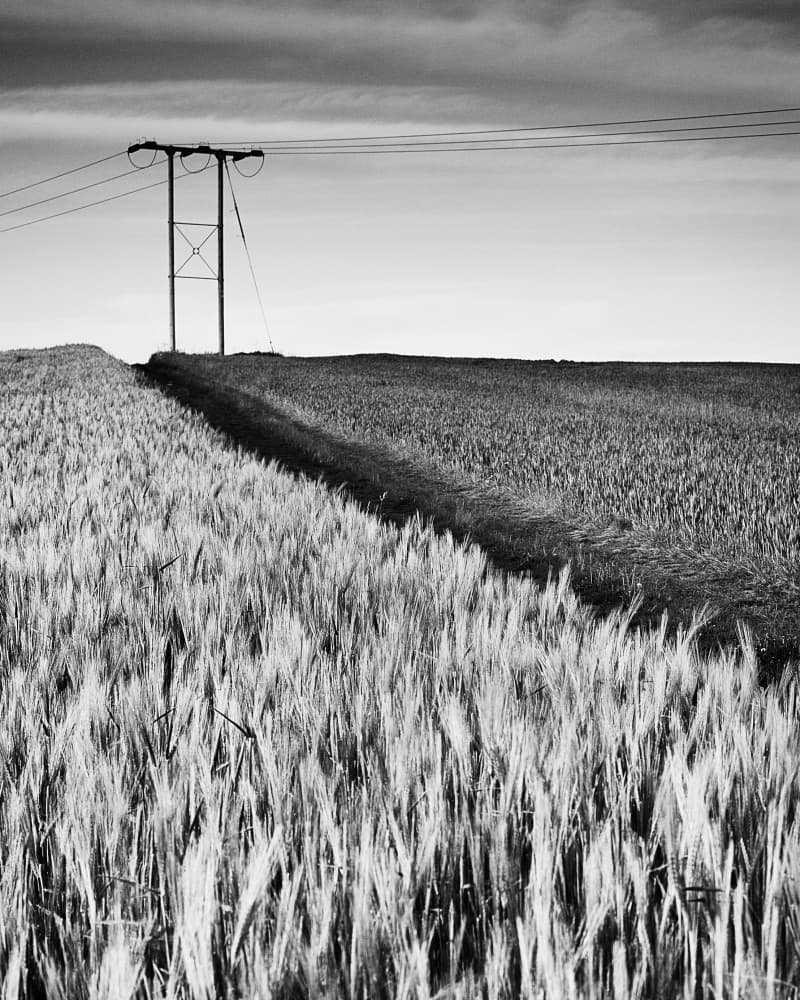 Rural Field Power Lines by Russell Jones-Davies — canvas wall art