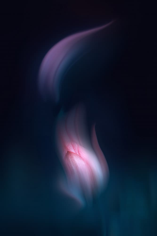 Ethereal Pink Flow by Mei Xu — canvas wall art