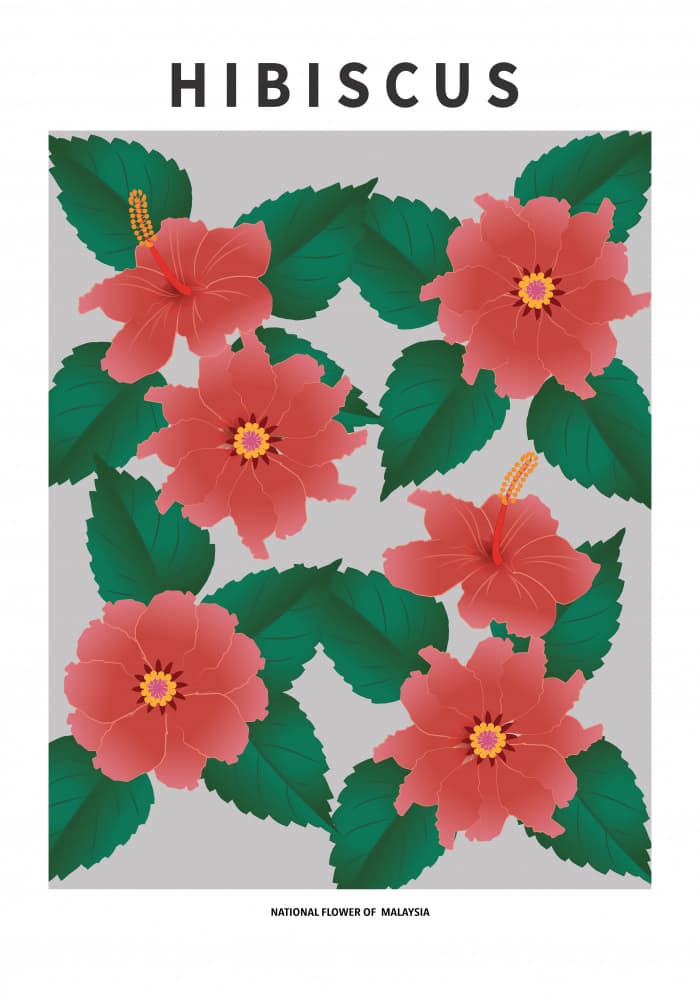 Vibrant Hibiscus Blooms by Paperago — canvas wall art