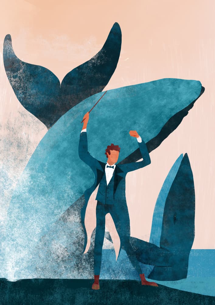 Maestro and the Whale by Annelien Smet — canvas wall art